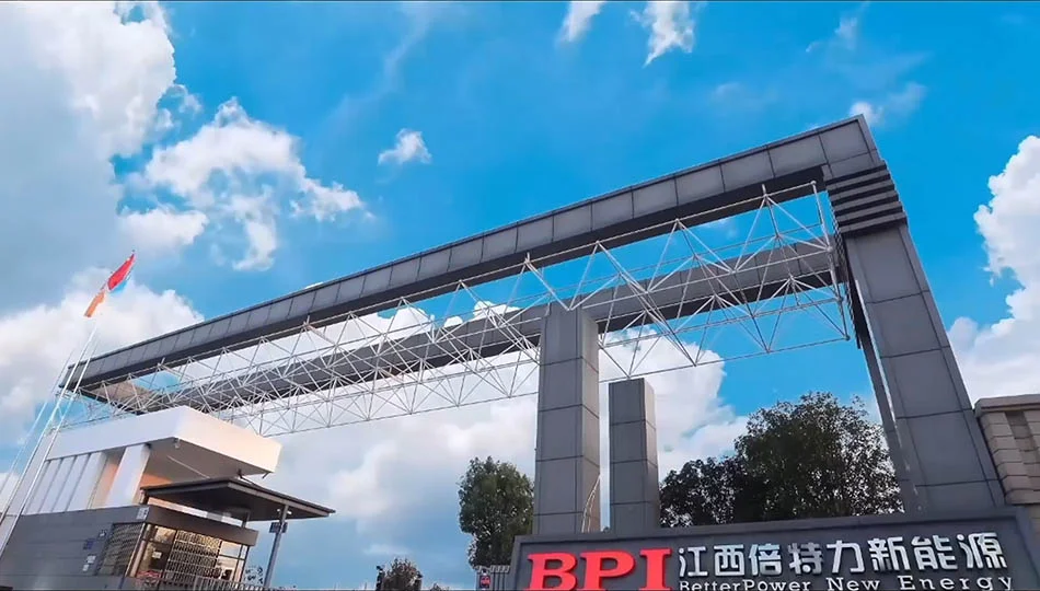 قوة المؤسسة