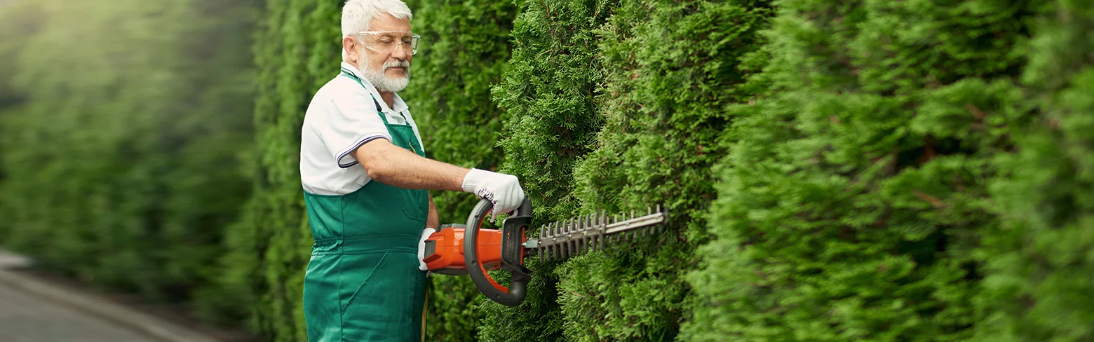 أدوات البستنة