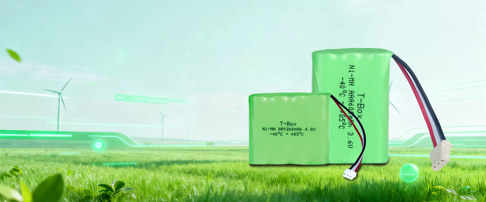 بطاريات خاصة